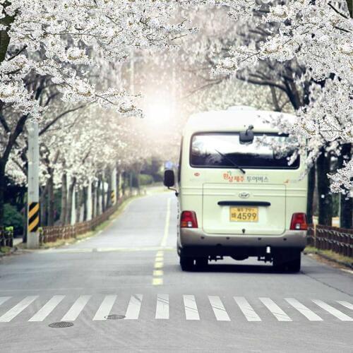 Vinyl Photography Background Computed Printed Flower Street Bus Children Backdrops for Photo Studio CM-6971