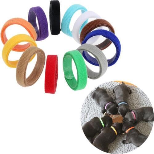 12pcs/Lot Nylon Pet Identification Tag Collar Adjustable Pet Cat Dog ID Collar Mark Leash For Small Dog Cat Puppy Rabbit