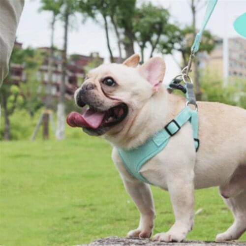 Puppy Cat Pet Dog Harness Breathable Cotton Dog Harness Strap Soft Walk Vest Collar For Small Medium Dog Accessories