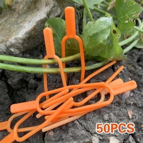 50pc Plastic Plant Fixed Bracket Garden Tools Vine Plant Fastening Fixture Clips Greenhouse Strawberry Fixed Fork Planting Tools