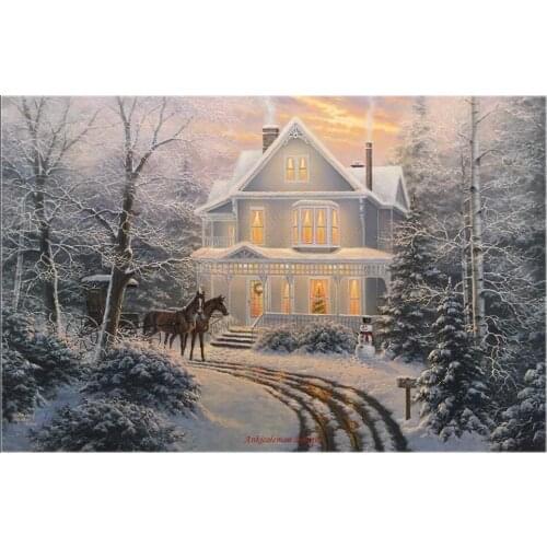 Counted Cross Stitch Kits Needlework Embroidery - Crafts 14 ct Aida DMC Color DIY Arts Snowy Handmade Home Decor - Homecoming