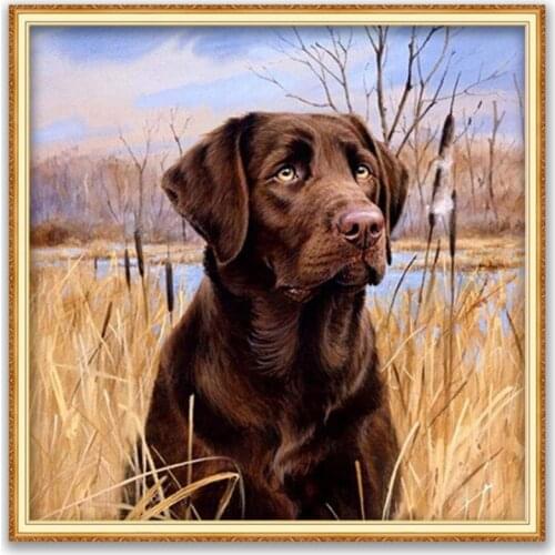 Animal Dog Labrador DIY Cross Stitch Embroidery 11CT Kits Craft Needlework Set Printed Canvas Cotton Thread Home Decoration New