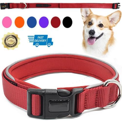 NEW Adjustable LED Light Up Personalized Dog Collar Nylon Soft Fabric Pet Night Safety Bright Flashing