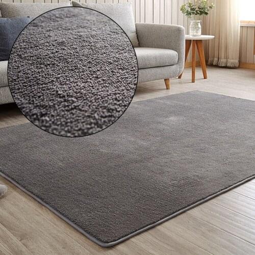 Anti-slip Living Room Carpet Rug Soft Carpet Rugs for Bedroom Kitchen Mat Rugs for Living Room Bath Mat Carpet Kitchen Area Rug