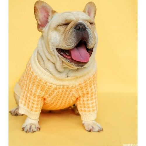 Sunflower Yellow Sweater Luxury Dog Clothes