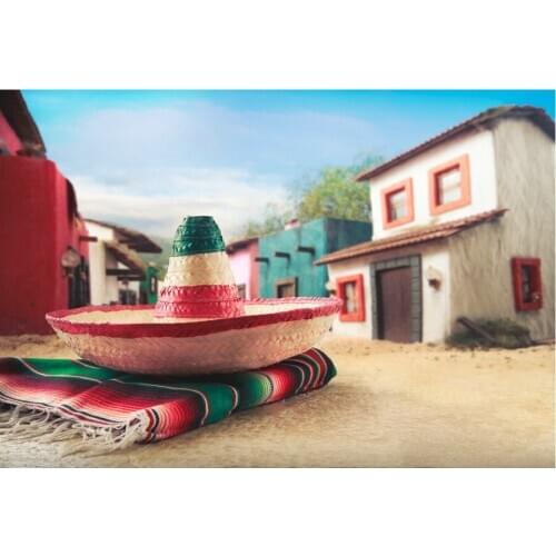 Holiday Backdrop Colorful Hat and House Photography Background Holiday Celebration Photo Booth Studio Decor