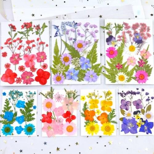 Dried Flower For DIY Resin Making Mold Filler Material Jewelry Making Accessries Tools