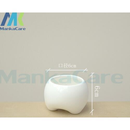 2 Pcs Cute Tooth Shap Pastoral Style White Ceramic plant Pots Teeth model Flowerpot Flower Garden Pots Pencil Vase Dental gift