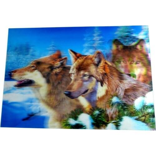 3D Effect Plastic Picture Wall Hanging,Poster-wolf J2038