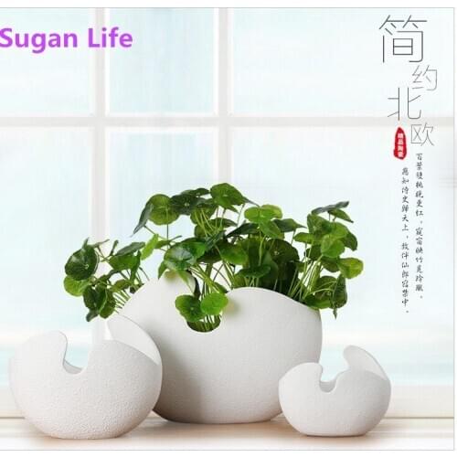 White Eggshell Shape Planter Hydroponic Plant Vase Modern Simple Ceramic for Art of Flower Arranging Soil Cultivating Plant Pot