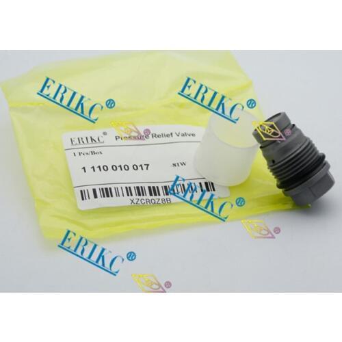 Erikc High Pressure Relief Valve 1110010017 Fuel Common Rail Pressure Limiter 1 110 010 017 for Diesel Engine Fuel Injectors