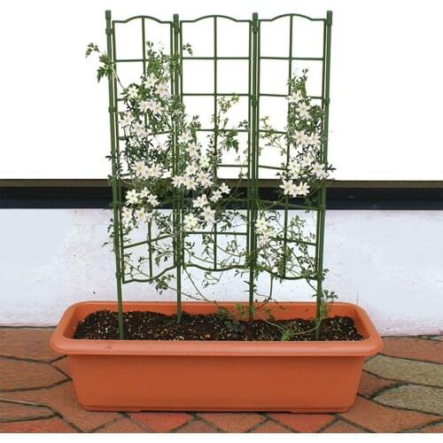 50x120cm Garden Plant Climbing Trellis Clematis Climbing Pergola Rose Wall Climbing Plant Rack Detachable Screen Support