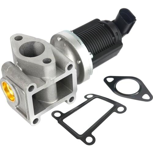 AP02 EGR Valve Gaskets For Alfa Romeo 147 156 159 166 Brera GT Spider For Fiat Croma Stilo Lancia Thesis 1.9 2.4 16V 55194735