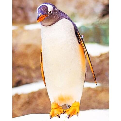 "Stupid Penguin" picture DIY digital painting by number painting Christmas birthday unique gift