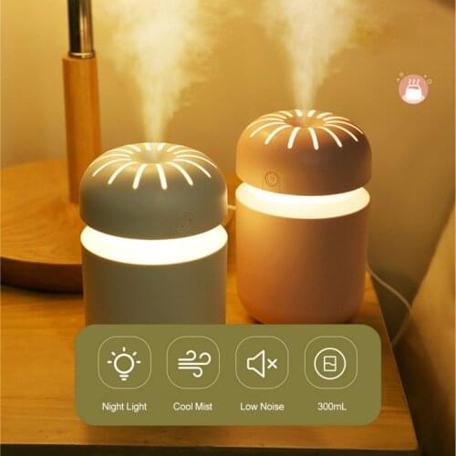 Simple Multifunctional LED Night Light 300mL Mist Humidifier Diffuser Ambient Light Quiet Mist Humidifier for Home Touch Switch