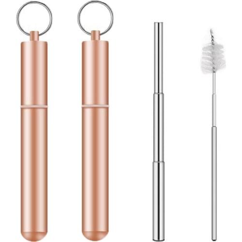 Collapsible Reusable Stainless Straw, Telescopic Straw with Case Cleaning Brushes 2 Packs