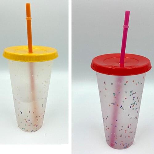 700ml Reusable PP Straw Cup Water Bottle Cup with straw Rainbow Drinking Cup Juice Water Bottle Tumbler Cup Straw Mug Drinkware