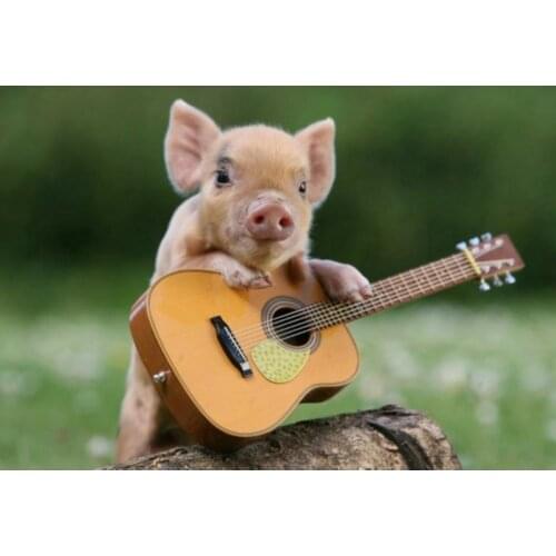 Lovely Animal DIY 5D Diamond Painting Full Round Square Resin Mosaic Diamond Embroidery Cross Stitch Kits Art Decor Mini Pig