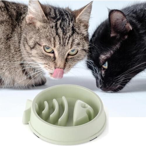 Pet Slow Feeder Anti-gulping Non-slip Creative Pet Food Bowl Pet Feeding Bowl Dog Accessories