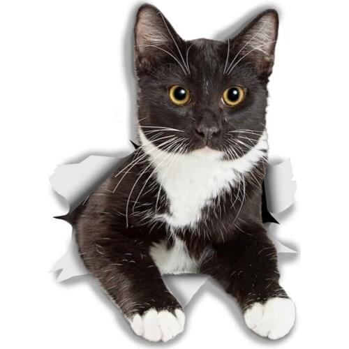 S40429# Various Sizes PVC Decal RESTING TUXEDO KITTY Car Sticker For Bumper Rear Window Laptop Refrigerator Toilet