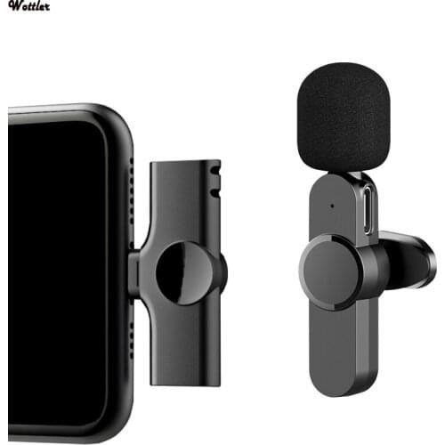 Wottler Microphones