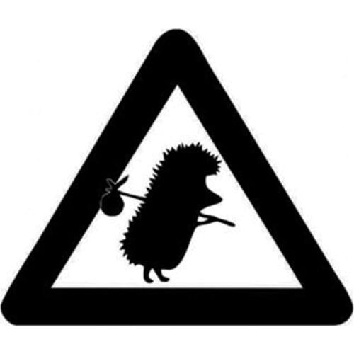 Black/Sliver Take Care Of Hedgehog Car Sticker Funny Vinyl Auto Detailing Stickers For Cars Styling Decor C513