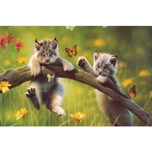 Full Square&Round Creative Diamond Embroidery 5D Diy Diamond Painting Cross Animal Cat Cross Stitch Mosaic Needlework Decor Kit