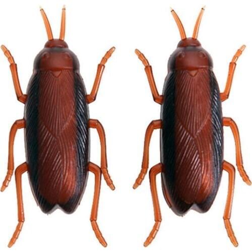 Cockroaches Pet Cat Dog Pet Toy Pets Kitten Interactive Cockroach Training April FoolS Day Funny Cats Of Simulation