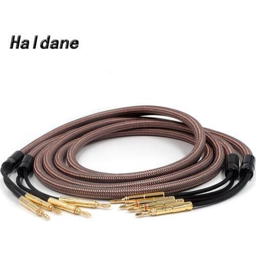 Haldane pair HIFI Accuphase 40th Anniversary Edition Speaker Cable OCC Pure Copper Audio Speaker Wire Loudspeaker Cable