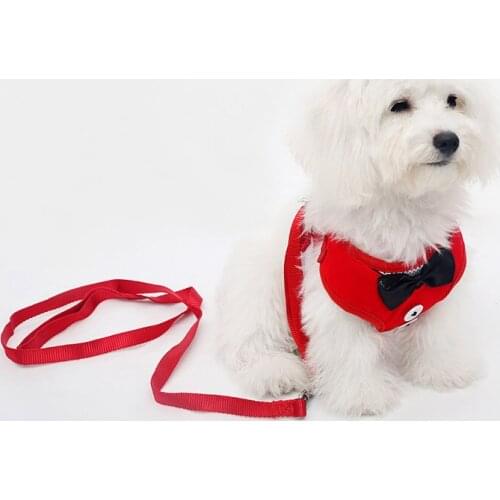 Small Dog Harness and Leash Set Pet Cat Vest Harness with Bowknot Mesh Padded Pet Leads Pet traction vest type pet supplies