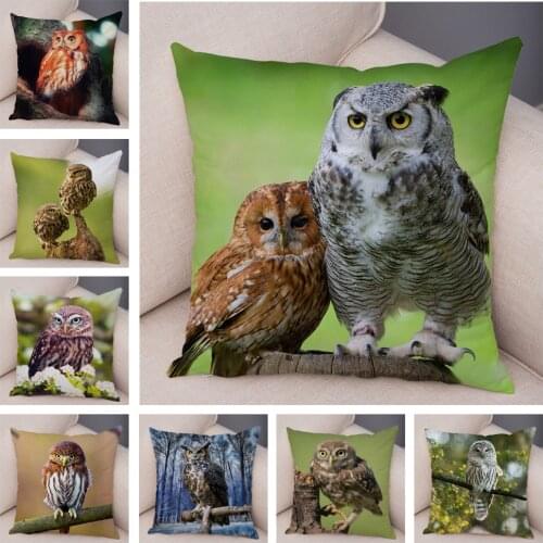 Wild Owl Cushion Cover Decoration Cute Animal Pillowcase Super Soft Plush Throw Pillow Case for Sofa Home Children Room 45x45cm
