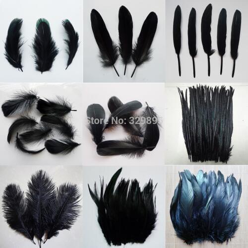 20pcs black 11 kinds Ostrich feather Pheasant tail Chicken feathers Goose Rooster Plume Party Accessories DIY Craft decoration
