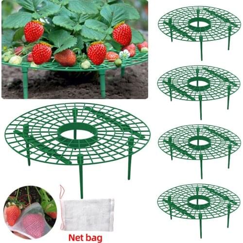 Strawberry Stand Frame Strawberry Protection Balcony Rack Holder Plants Grow Support Keeping Fruit Elevated to Avoid Ground Rot