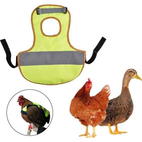 Pet Reflective Vest Chicken Bright Colors Clothes Poultry Hen Saddle Apron Feather Protection Holder For Chicken And Duck