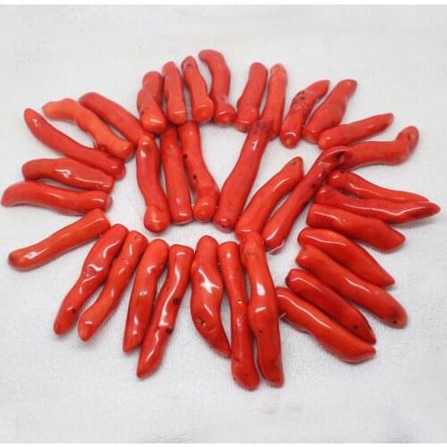 Mini. order is $7! 11-12x47-67mm Orange Coral chili Tusk wolf tooth Freeform Loose Beads 8"