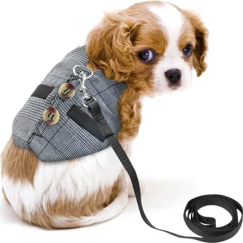 Small Animal Bunny Rope Suit Rabbit Harness Leash Cute Cat Puppy Chest Strap Pet Dog Gentleman Vest with Pulling Rope Accessory
