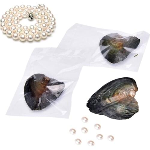 Shell Wish Pearl Oyster Vacuum-packed 7-8mm Randomly Color/Shaped Natural Real Pearls in Oyster Pearls Jewelry Gifts