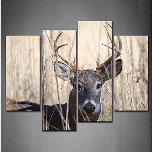 4 Panels Wall Art Whitetail Deer Buck Moving Through Bush Painting Pictures Print On Canvas Animal The Picture For Decor