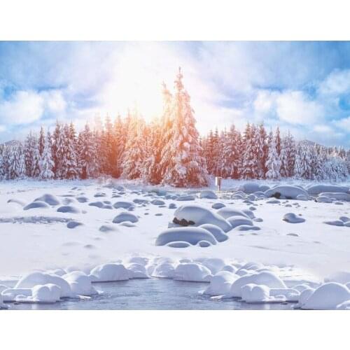 Gatyztory Frame DIY Painting By Numbers Snow Landscape Handpainted Oil Painting Modern Home Art Canvas Painting 60x75cm