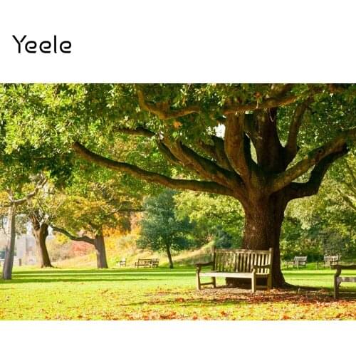 Yeele Autumn Fallen Leaves Park Tree Nature Scenery Photography Backdrops Photographic Decoration Backgrounds Photo Studio