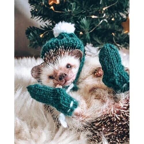 Hedgehog DIY diamond Painting By Numbers Kits diamond mosaic full square round drills diamond embroidery cross stitch decor