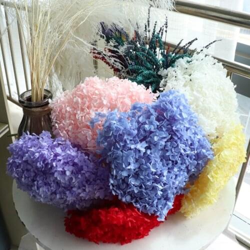 Nature Real Preserved Anna Hydrangea Branch Head DIY Marriage Floral Wedding Home Decoration Bouquet Eternelle Dry Flower Decor