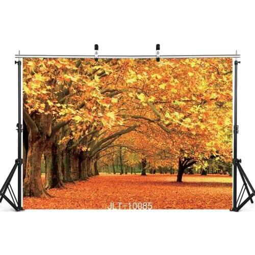 Vinyl Photography Backdrop Autumn Yellow Trees Leaves Photo Background for Portrait Child Baby Shower Kids Portrait Photobooth