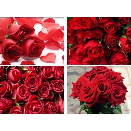 Diamond Painting Flower Diamond Mosaic Inlaid Diamond Embroidery Rose Flower Art Picture Cross Stitch Kit Home Decoration Gift