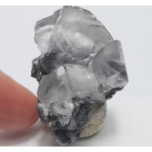 15gNatural transparent shell solution mineral stone home decoration repair energy wheel vein teaching specimen ornaments