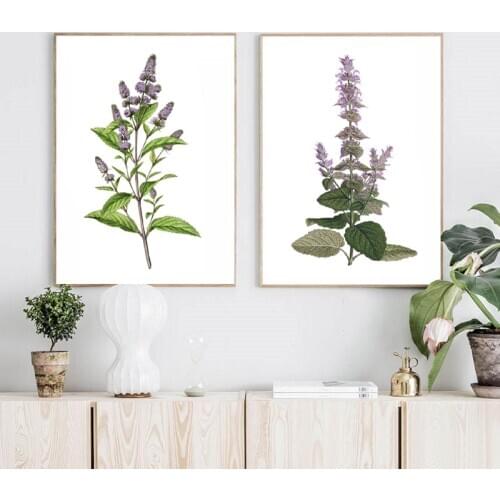 Herb Botanical Posters Vintage Flowers Peppermint Print Salvia Plant Clary Sage Pictures Wall Art Canvas Painting Home Decor