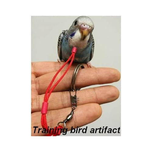 Set of bird neck chain rope collar foot set ankle training bird rope bird supplies equipment collar suitable for wax mouth