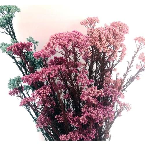 1 Bouquet Dried Flowers Dried Preserved Flowers Dream Of Grass Bouquet For Home Wedding Decoration Real Natural Florals