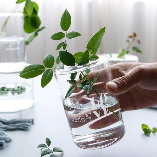 Nordic Transparent Glass Hydroponic Vase Creative Tabletop Flower Pot Green Plant Bonsai Container Home Decoration Accessories