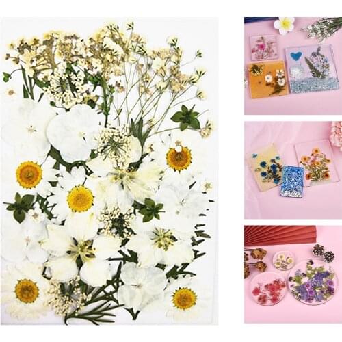 Real Dried Flowers Petal For Art Craft Epoxy Resin Jewellerys Soap Making